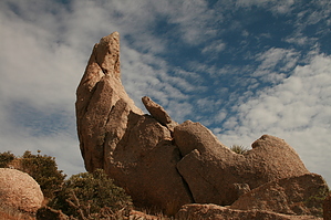 feature photo