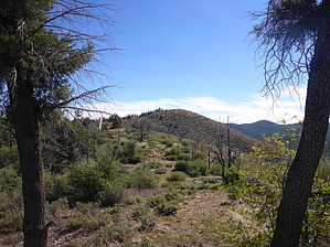 feature photo