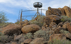 feature photo