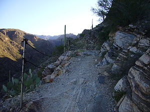 feature photo