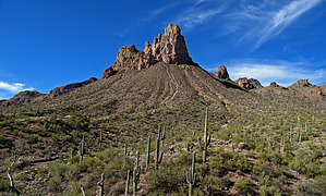 feature photo