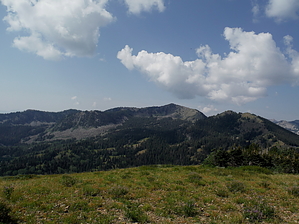 feature photo