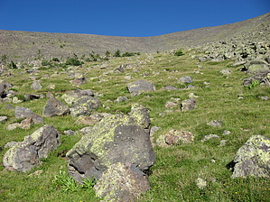 feature photo