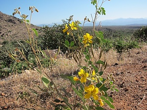 feature photo