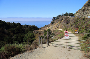 feature photo