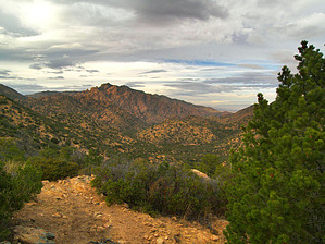 feature photo
