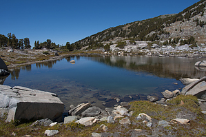 feature photo