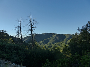 feature photo