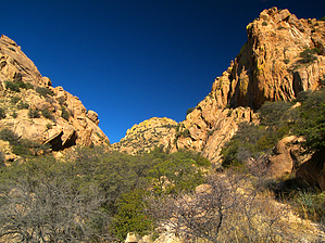 feature photo