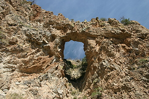 feature photo