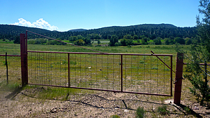 feature photo