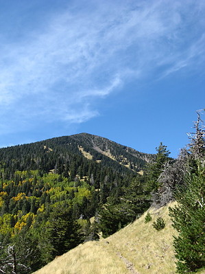 feature photo