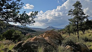 feature photo
