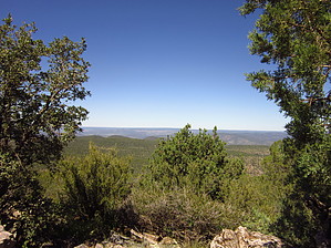 feature photo