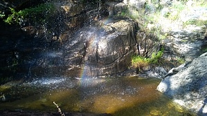feature photo
