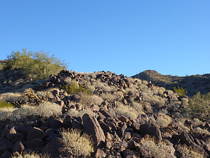 feature photo