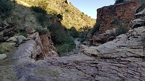 feature photo