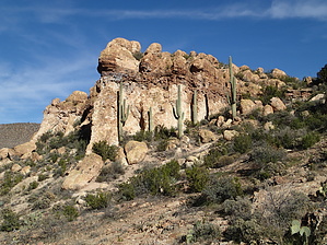 feature photo