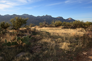 feature photo
