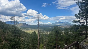 feature photo
