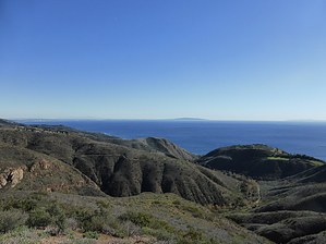 feature photo