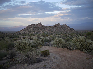feature photo