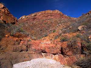 feature photo