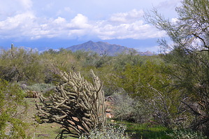 feature photo
