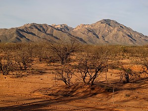 feature photo