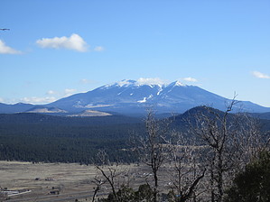 feature photo