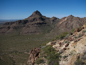 feature photo