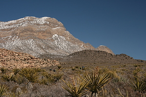feature photo