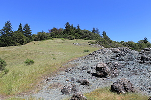 feature photo