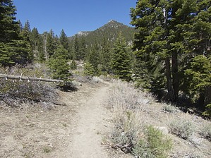 feature photo