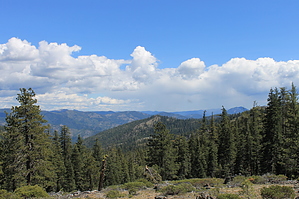 feature photo