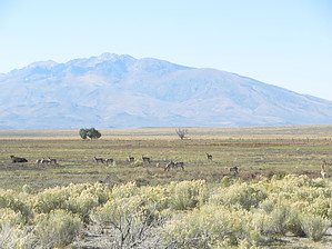 feature photo