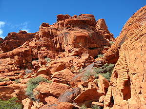 feature photo