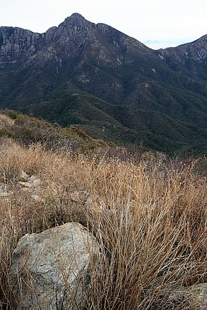 feature photo