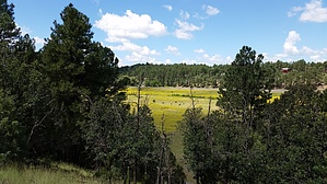 feature photo