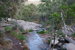 feature photo