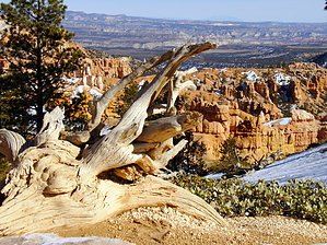 feature photo