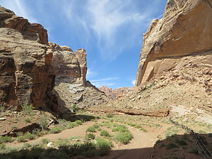 feature photo