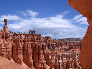 feature photo