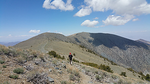 feature photo