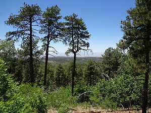 feature photo