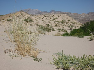 feature photo