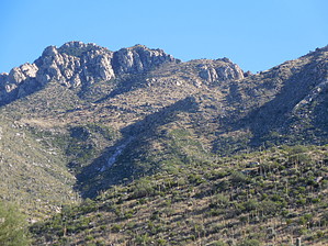 feature photo