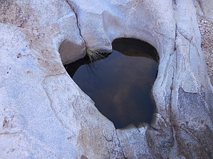feature photo