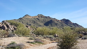 feature photo
