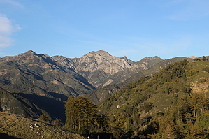 feature photo